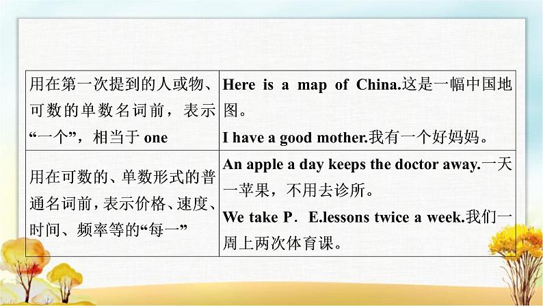 人教版中考英语复习专题突破三冠词教学课件第7页