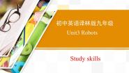 牛津译林版九年级下册Study skills教学课件ppt
