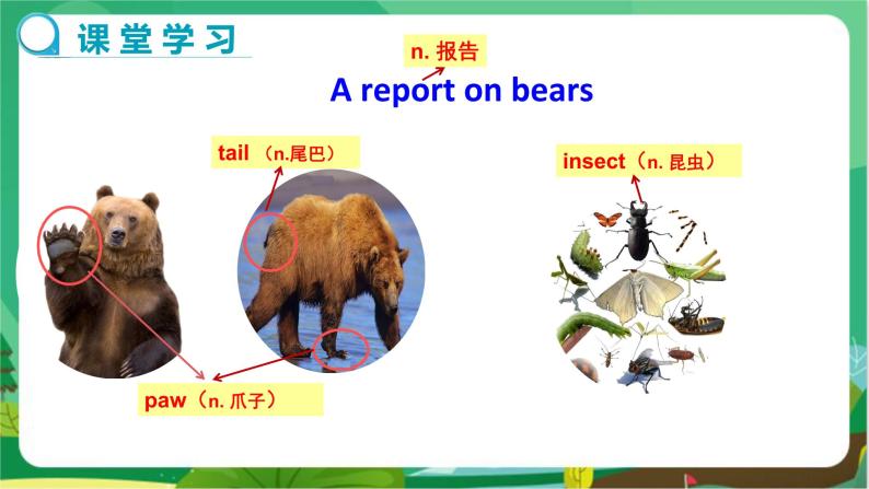 译林牛津版中学英语八年级上册Unit 5 Task教学课件+教案05