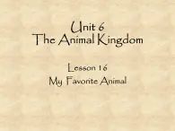 北师大版英语七年级下册Unit 6 The Animal kingdom Lesson 16 My Favorite Animal  课件