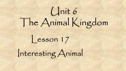 英语北师大版Lesson 17 Interesting Animals教学演示ppt课件