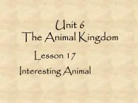 北师大版英语七年级下册Unit 6 The Animal kingdom Lesson 17 Interesting Animal  课件