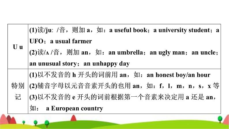 中考英语复习专题突破三冠词教学课件第5页