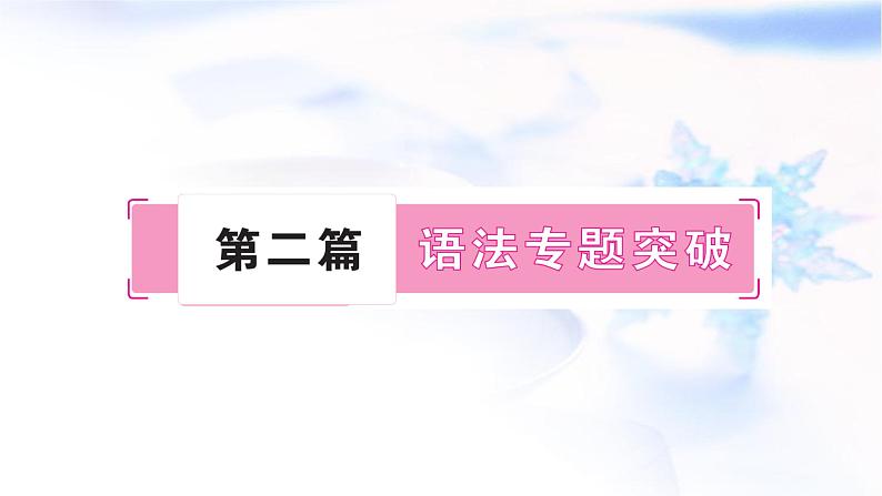 人教版中考英语复习语法专题突破一名词教学课件01
