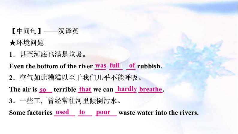 人教版中考英语复习题型专题五书面表达(8)环境保护教学课件第4页