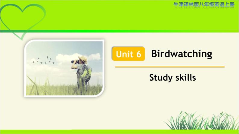 牛津译林版八年级英语上册Unit 6 Birdwatching Study skills 示范公开课教学课件01