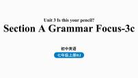 人教新目标七年级英语上册--Unit3第二课时（Section A Grammar Focus-3c）（精品课件）