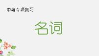 2023年中考英語語法專項復(fù)習(xí)課件——名詞