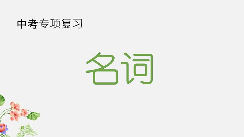 2023年中考英语语法专项复习课件——名词第1页