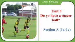 Unit 5 Section A（1a-1c）【课件】-【精品课】 2023-2024学年七年级上册英语教学同步精美课件（人教版）