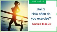初中人教新目标 (Go for it) 版Unit 2 How often do you exercise?Section B完美版教学作业ppt课件