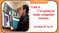 人教新目标 (Go for it) 版八年级上册Section B优秀教学作业ppt课件