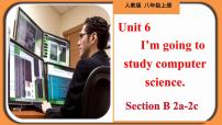 初中英语人教新目标 (Go for it) 版八年级上册Section B精品教学作业课件ppt