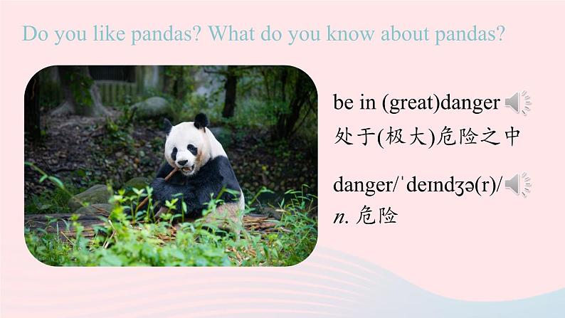 Unit5 Why do you like pandas第4课时SectionB 2a-2c课件(人教新目标版)第5页