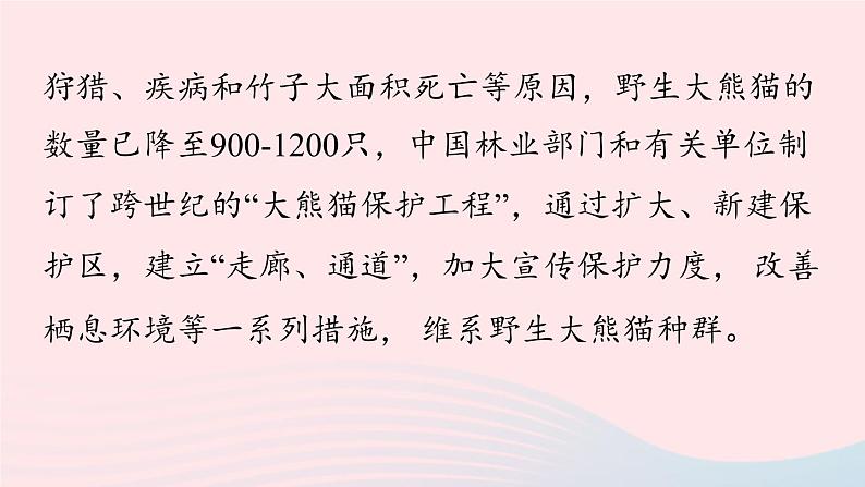 Unit5 Why do you like pandas第4课时SectionB 2a-2c课件(人教新目标版)第7页
