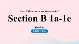 Unit7 How much are these socks第三课时SectionB1a-1e课件（人教新目标版）