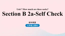 Unit7 How much are these socks第四课时SectionB2a_SelfCheck课件（人教新目标版）