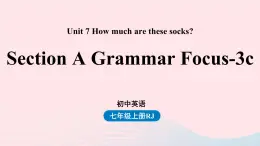 Unit7 How much are these socks第二课时SectionAGrammarFocus_3c课件（人教新目标版）