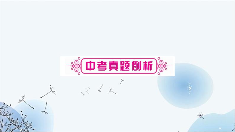 人教版中考英语复习题型专题一完形填空课件05