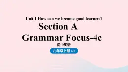 Unit1 How can we become good learners第3课时SectionA Grammar Focus-4c课件（人教新目标版）