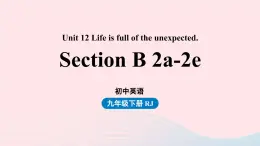 Unit12 Life is full of the unexpected第5课时SectionB2a-2e课件（人教新目标版）