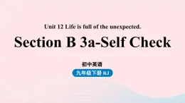 Unit12 Life is full of the unexpected第6课时SectionB 3a-Self Check课件（人教新目标版）