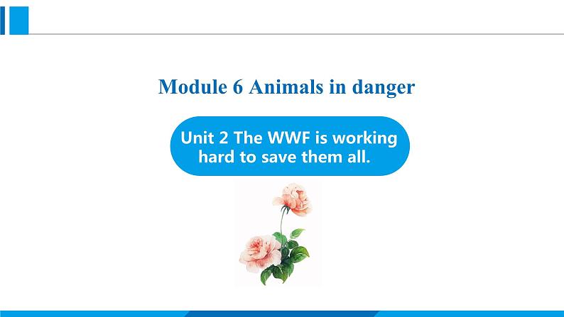 Module 6 Unit 2 The WWF is working hard to save them all.(课件)外研版英语八年级上册第1页