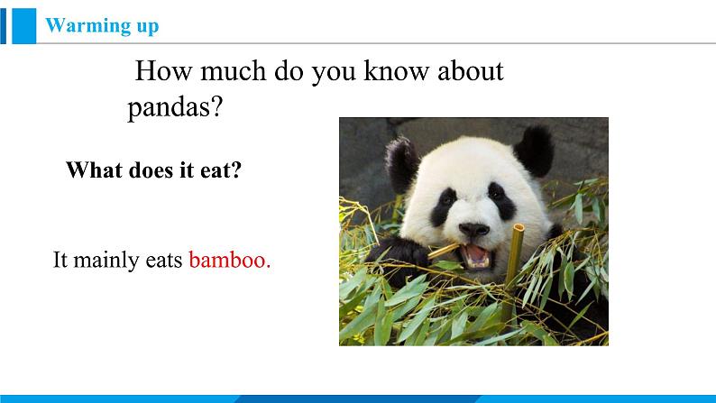 Module 6 Unit 2 The WWF is working hard to save them all.(课件)外研版英语八年级上册第4页