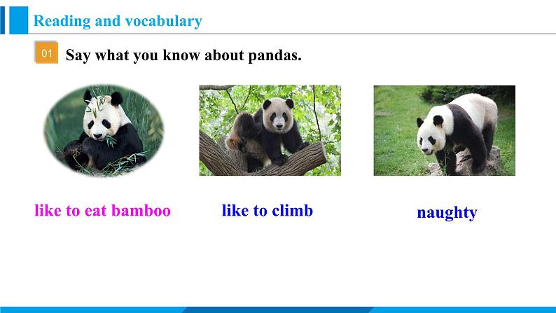 Module 6 Unit 2 The WWF is working hard to save them all.(课件)外研版英语八年级上册第7页