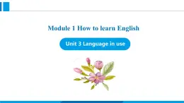 Module 1 Unit 3 Language in use（课件）外研版英语八年级上册