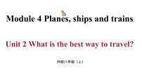 初中英语外研版 (新标准)八年级上册Module 4 Planes ships and trains .Unit 2 What is the best way to travel.图文课件ppt