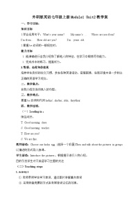 外研版 (新标准)七年级上册Unit 2 I’m Wang Lingling and I’m thirteen years old.优质课教案设计