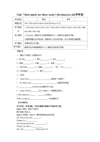 英语人教新目标 (Go for it) 版Section A优秀学案及答案