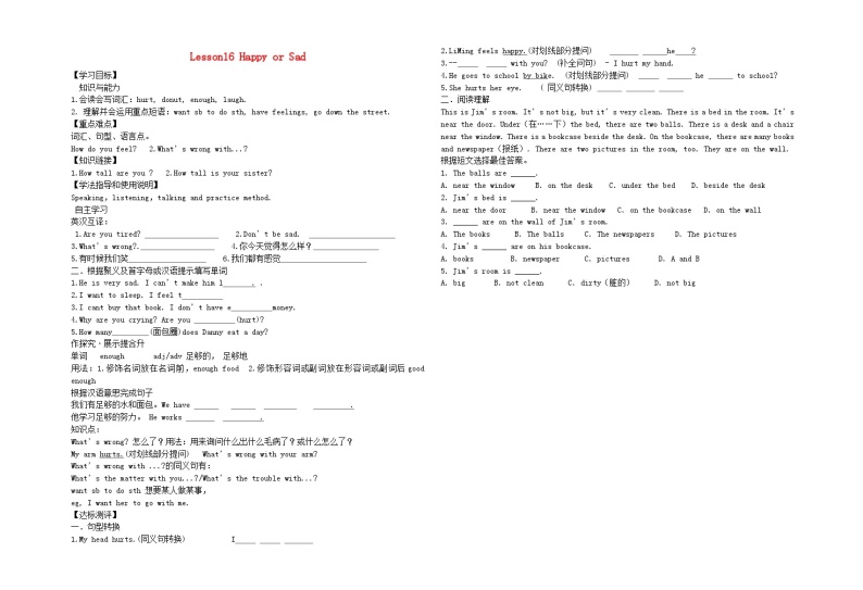 冀教版七年级英语上册  Unit 3 Body Parts and Feelings Lesson 16  Happy or Sad导学案（无答案）01