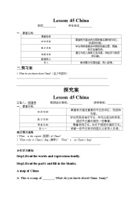 初中冀教版Lesson 45  China优秀学案