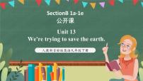 英语九年级全册Unit 13 We’re trying to save the earth!Section B优质ppt课件