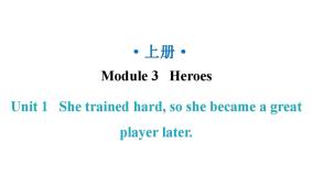 初中英语外研版 (新标准)九年级上册Unit 1 She trained hard,so she became a great player later.教学课件ppt
