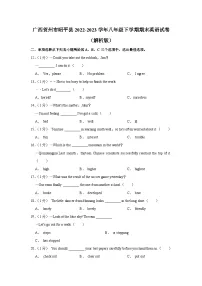 广西贺州市昭平县2022-2023学年八年级下学期期末英语试卷