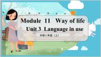 初中英语外研版 (新标准)八年级上册Module 11 Way of lifeUnit 3 Language in use .教学课件ppt
