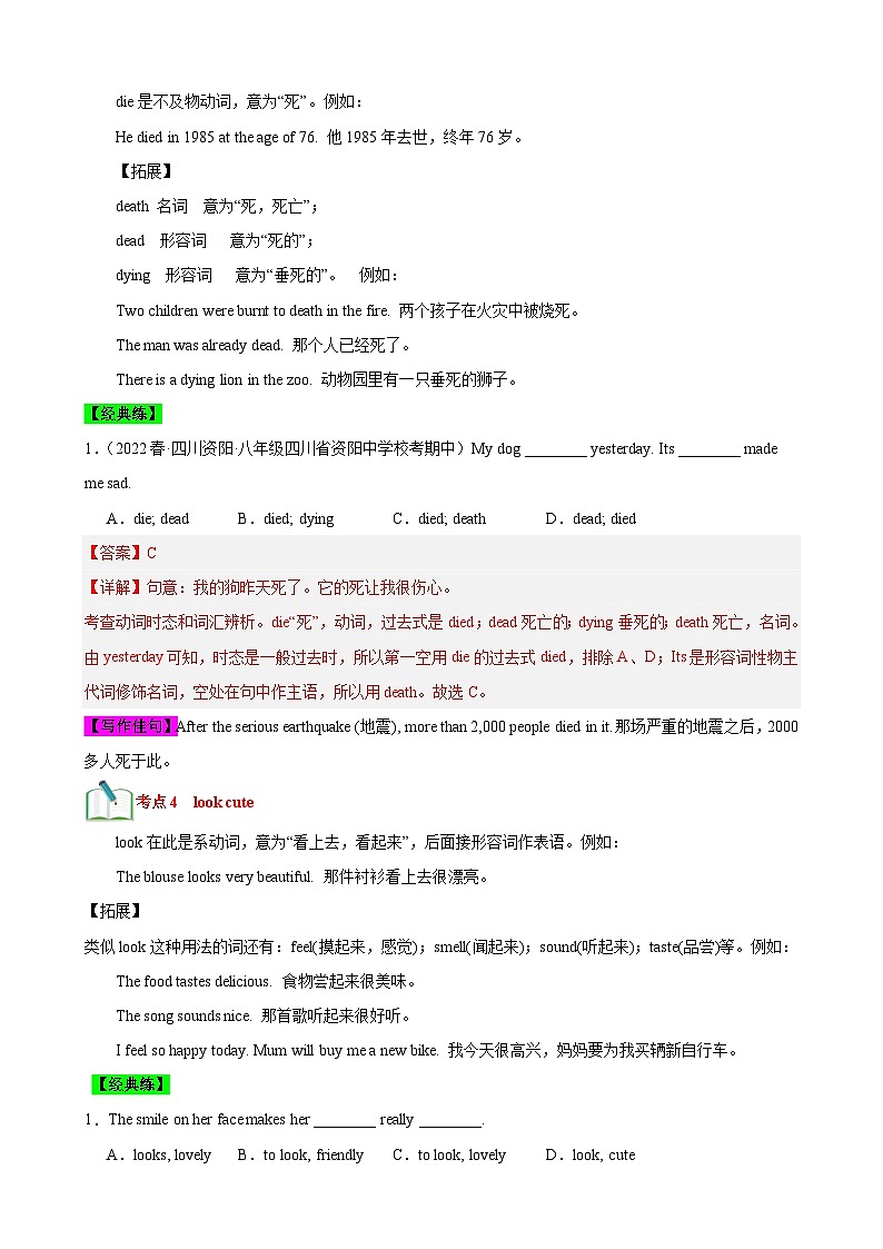 【期中单元考点讲练】(牛津译林版) 2023-2024学年八年级上册英语Unit5考点讲练试卷(解析版)第3页