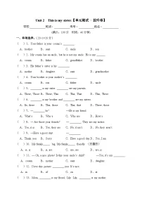 【期中单元测试卷】（人教版） 2023-2024学年七年级英语上册 Unit 2 测试卷（B卷）