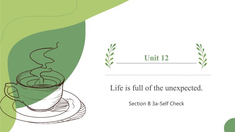 【核心素养目标】人教版初中英语九年级全册 Unit 12 Life is full of the unexpected Section B3a-Selfcheck课件+教案+同步练习（含反思和答案）01