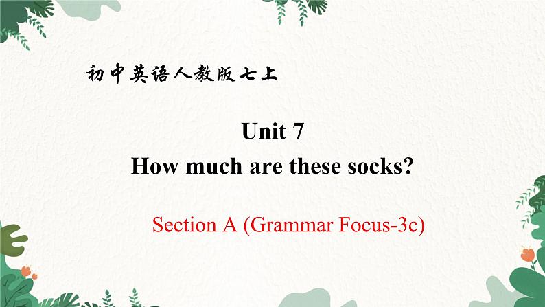 人教新目标版英语七年级上册 Unit 7 How much are these socks Section A (Grammar Focus-3c)课件01