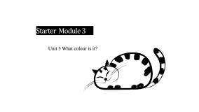 外研版英语七年级上册 Starter  Module 3-Unit 3 What colour is it课件