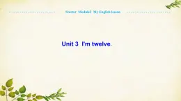 外研版英语七年级上册 Unit 3 I'm twelve.Starter  Module2 My English lesson课件