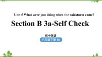 人教新目标 (Go for it) 版八年级下册Section B图片课件ppt