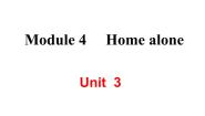 初中英语外研版 (新标准)九年级上册Unit 3 Language in use集体备课课件ppt