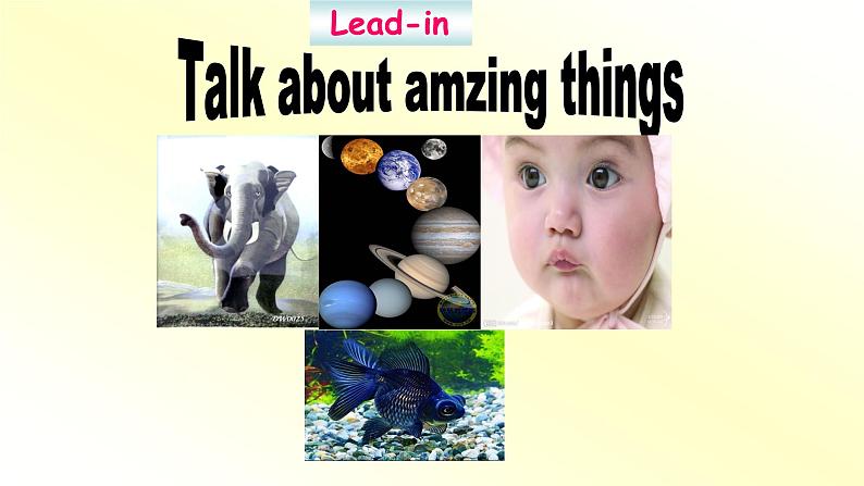 译林版英语七年级下册 Unit5 Amazing things Reading 课件06