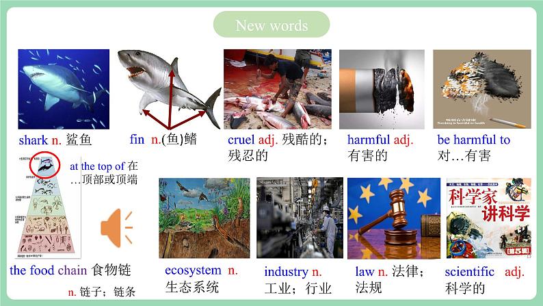 人教版新目标英语九年级 Unit13 SectionA 3a-3b 课件第4页