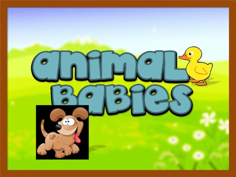 中小学英语 baby animals 游戏课件+素材01